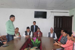 घरघरमा सिंहदरबार पुग्नेगरी काम&hellip;