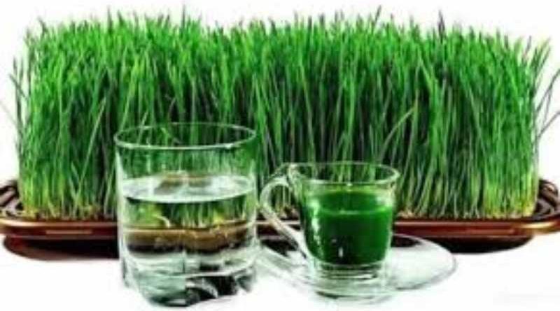 यस्ता छन्, जमराको जुस पिउनुका&hellip;