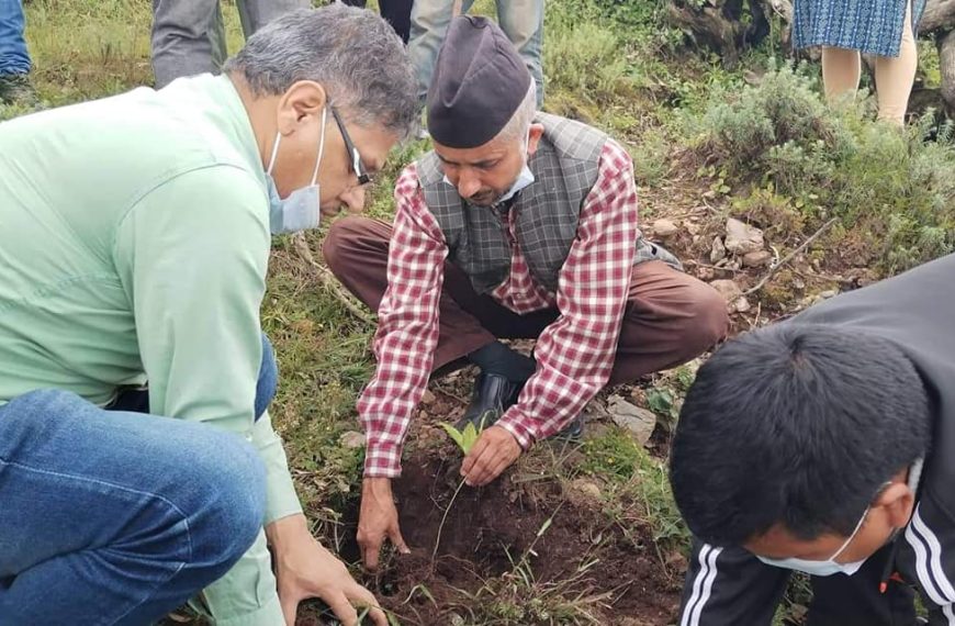 सिद्धथान सामुदायिक वनमा बृक्षारोपण ￼