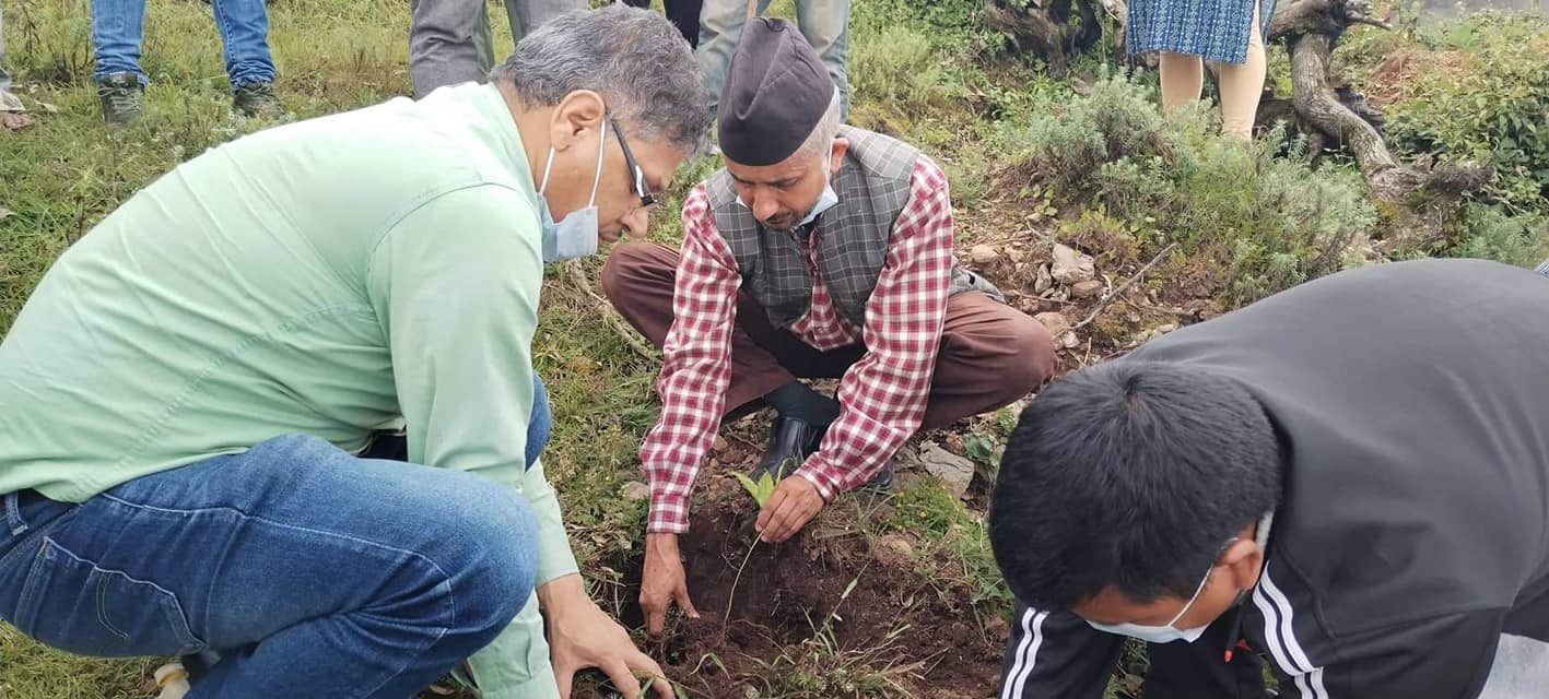 सिद्धथान सामुदायिक वनमा बृक्षारोपण ￼