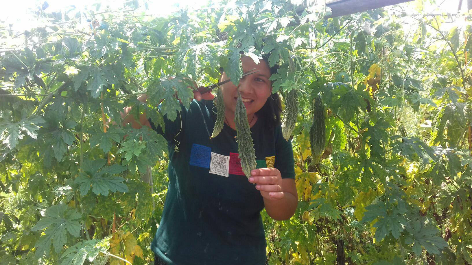 वातावरण विज्ञानमा स्नातक पढ्दै गरेकी गोमा व्यावसायिक कृषिमा ￼