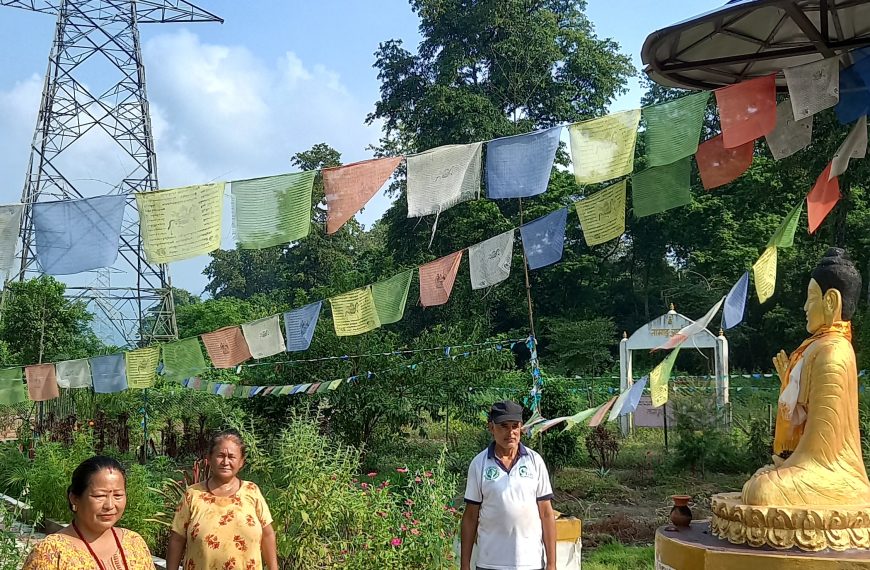 वन संरक्षणको उदाहरण : हाइटेन्शन&hellip;