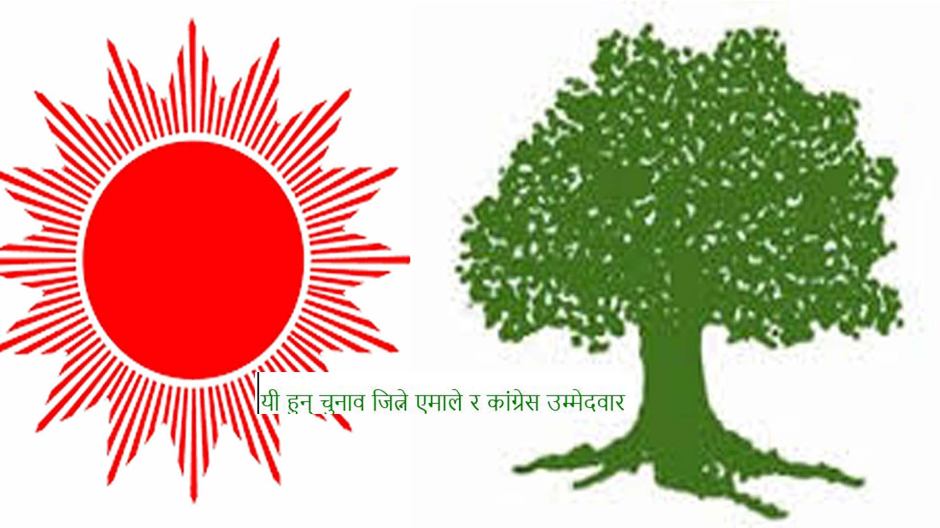 यी हुन् चुनाव जित्ने एमाले र कांग्रेस उम्मेदवार (नामावलीसहित)