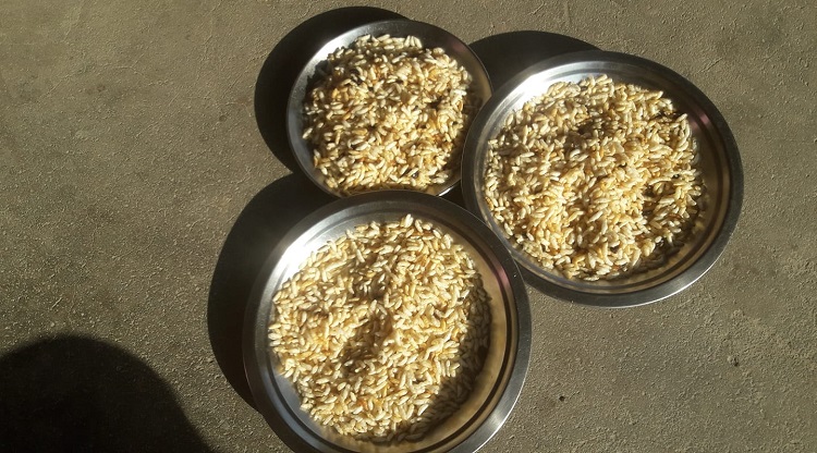 आज पुस १५, घिउ/तेलमा बनाइएका परिकार खाएर मनाइँदै