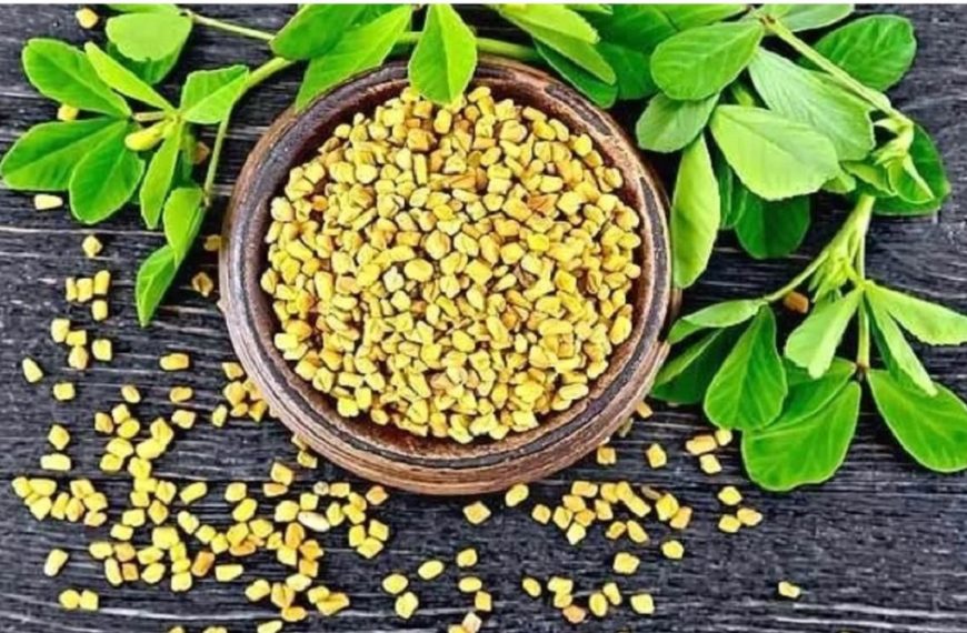 मेथि खानुका अचुक फाईदाहरु, एक&hellip;
