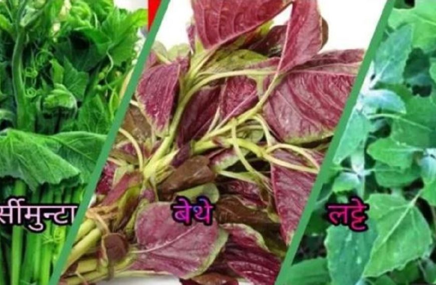 यस्ता छन्, फर्सी,बेथे र लट्टे&hellip;