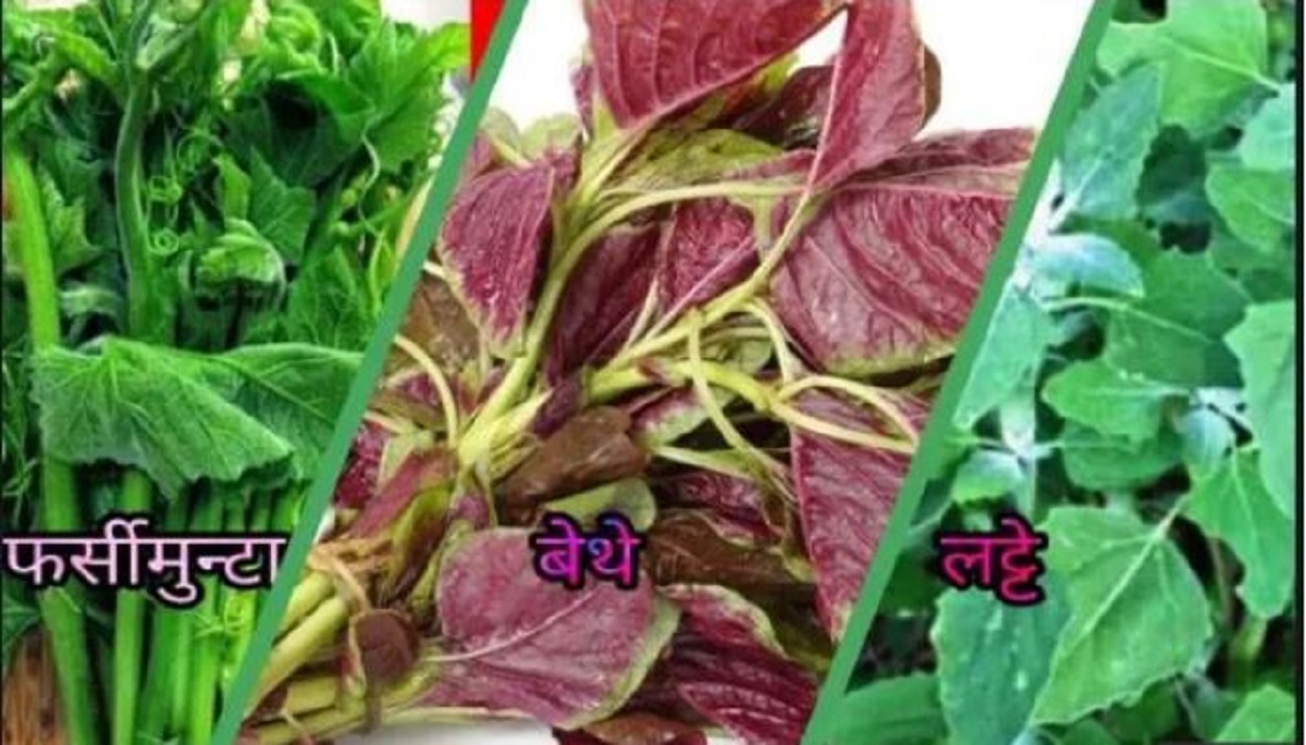यस्ता छन्, फर्सी,बेथे र लट्टे साग खानुका फाईदाहरु