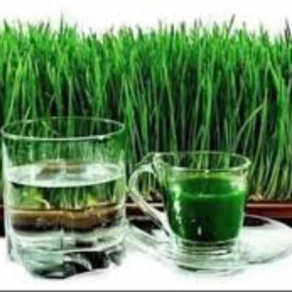 जमराको जुस पिउनुका अचुक&hellip;