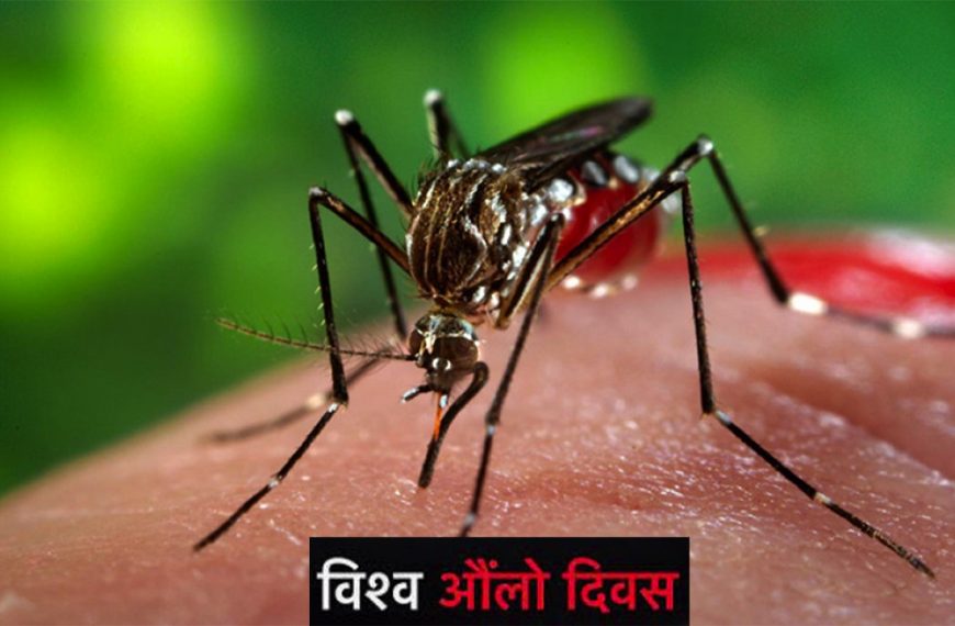 आज विश्व औ‌‌लो दिवसः विभिन्न&hellip;
