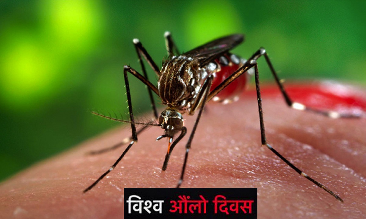 आज विश्व औ‌‌लो दिवसः विभिन्न कार्यक्रम गरि मनाइँदै