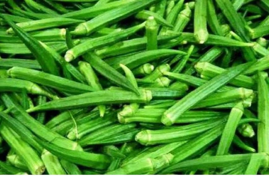 यस्ता छन्, भिन्डी खानुका&hellip;