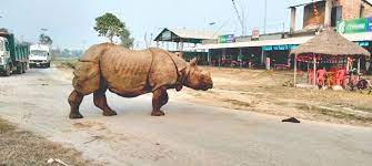 पर्यटन प्रवर्द्धन र सम्भावनाको खोजीका लागि बर्दिबासमा सुझाव संकलन