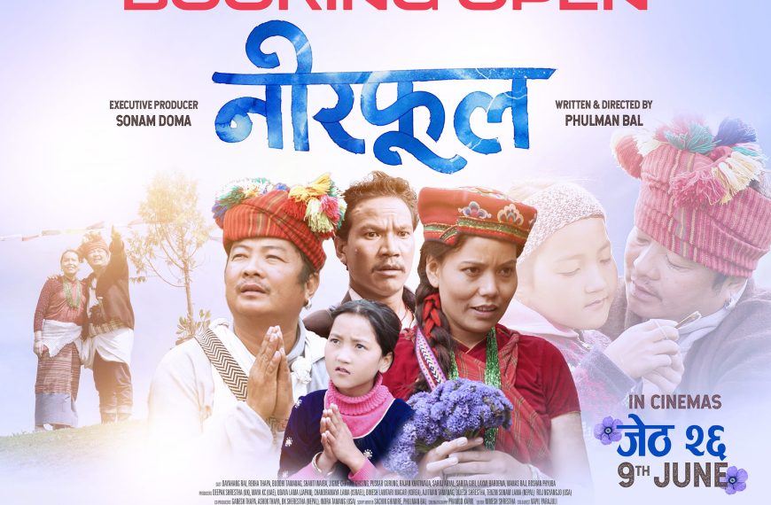 दक्षिण कोरियाका सहरमा नीरफूल