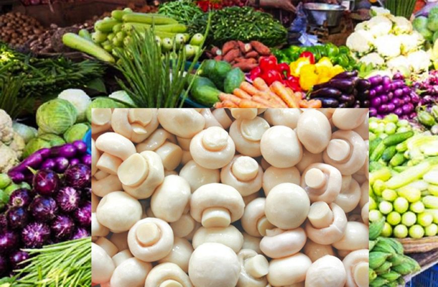 वर्षासँगै बढ्यो हरियो तरकारीको&hellip;