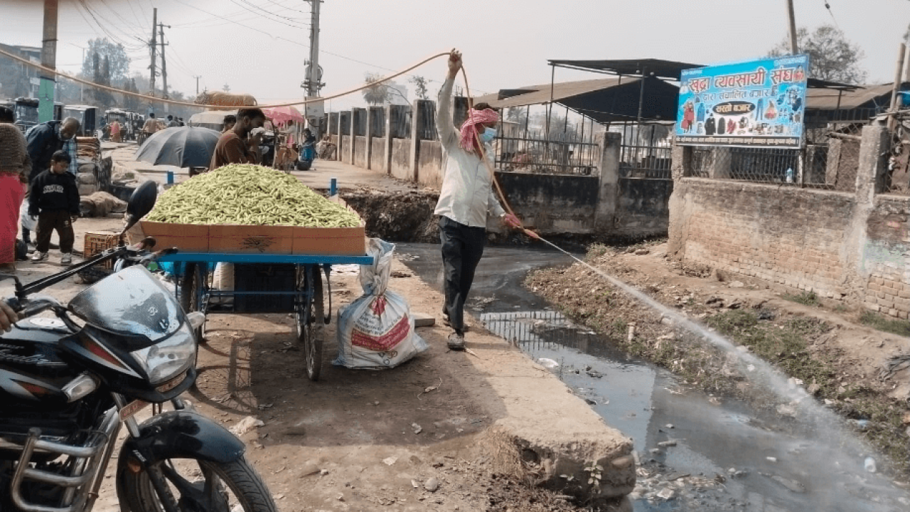 वीरगंजमा लामखुट्टे नियन्त्रण अभियान सुरु, ‘पम्प स्प्रे’ मार्फत विषादी छर्किँदै